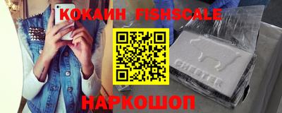 крисы Кингисепп