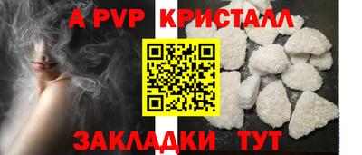 крисы Кингисепп