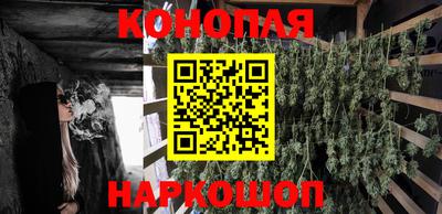 бошки Кинель