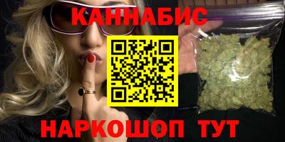 крисы Кингисепп
