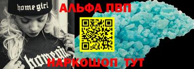 крисы Кингисепп