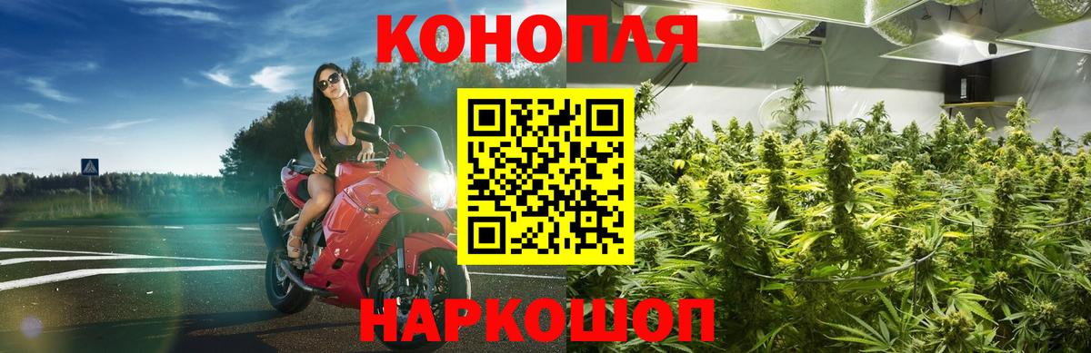 Марихуана ГИДРОПОН Глазов